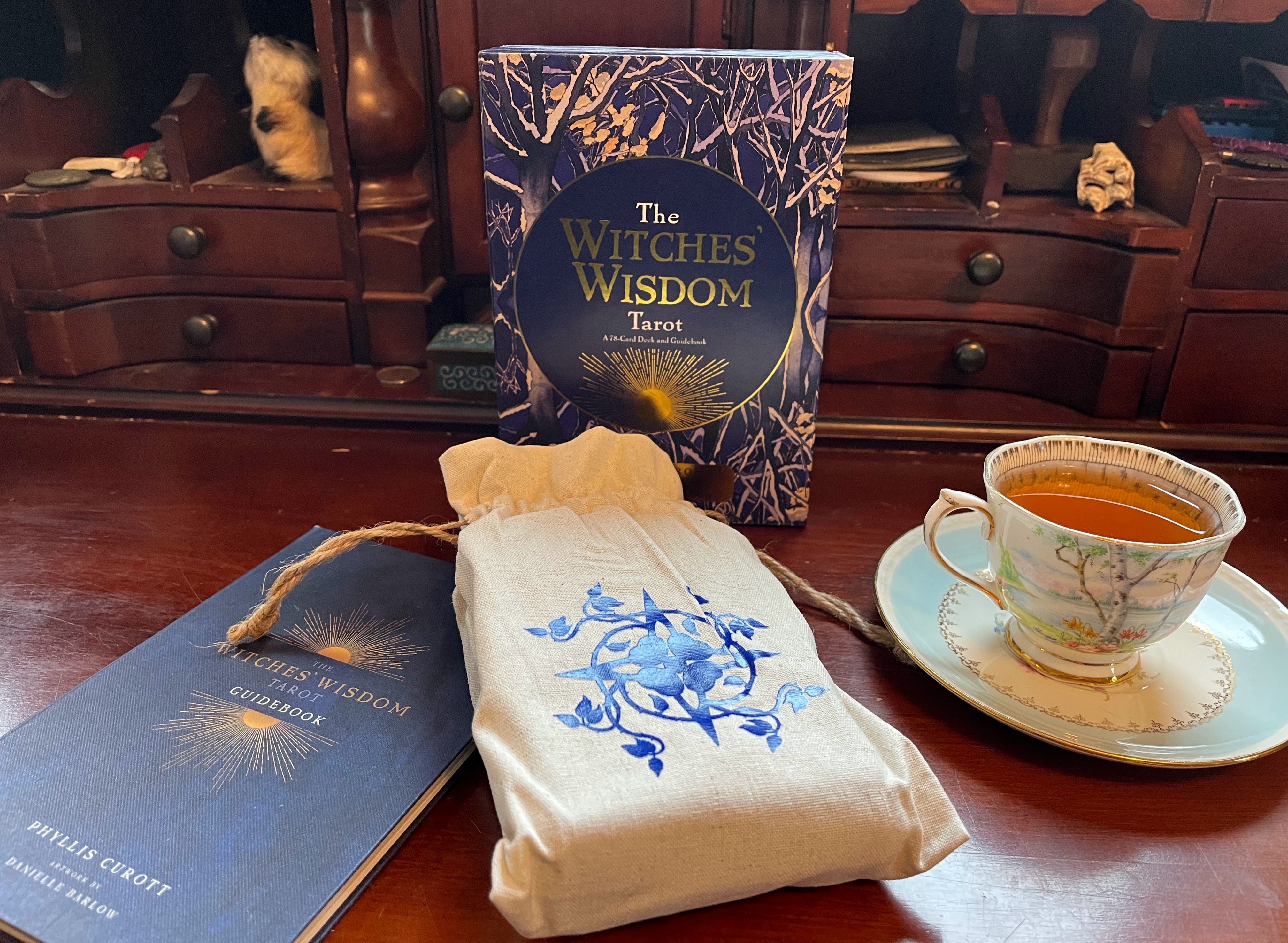Deck Review: The Witches' Wisdom Tarot – The Tarot Tarts